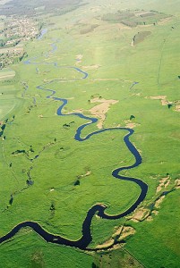 Dolina Narwi (fot. Jerzy Trojanowski)