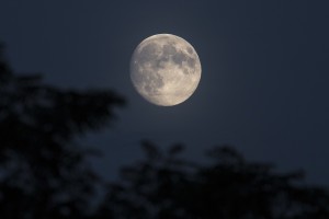 full-moon-1555454_960_720