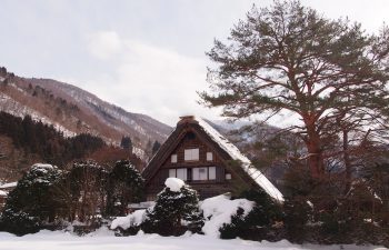 Czy warto wynająć dom na wyłączność w górach?